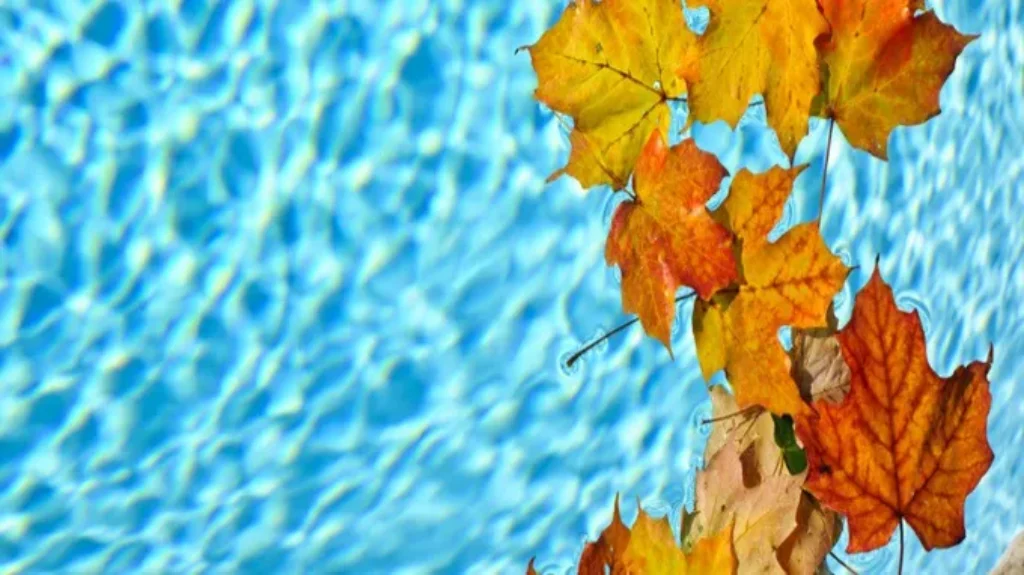 When Should You Close Your Pool? Top Tips for Winterizing!