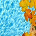 When Should You Close Your Pool? Top Tips for Winterizing!