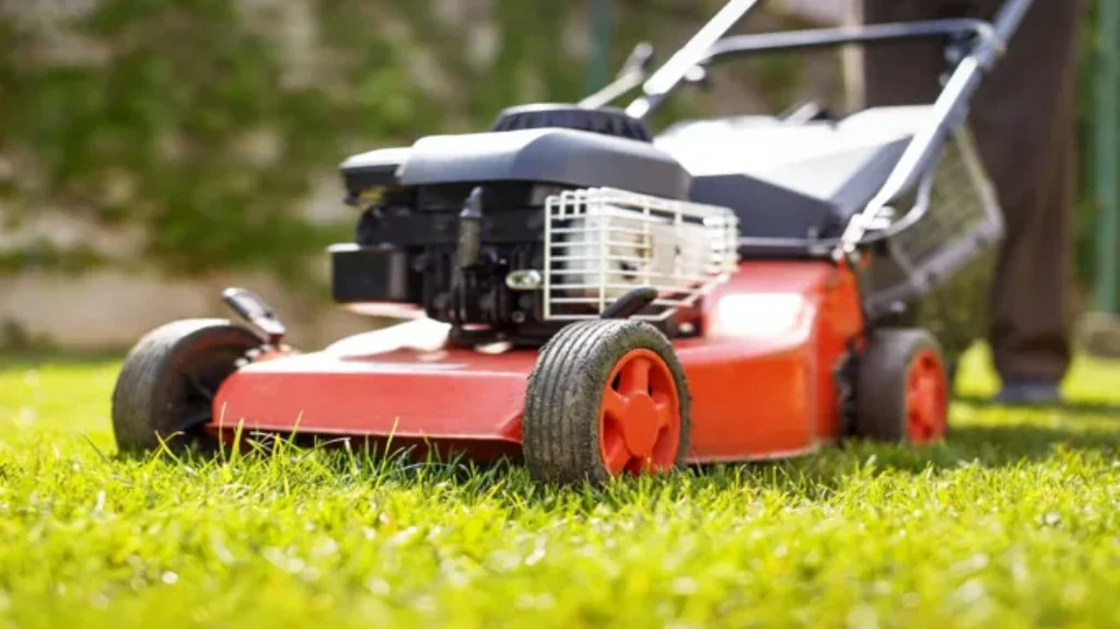 When Should You Cut New Grass for Optimal Growth and Health