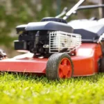 When Should You Cut New Grass for Optimal Growth and Health