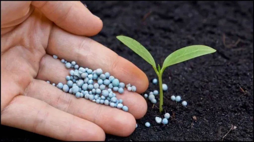 When to Apply 15-5-10 Fertilizer for Maximum Plant Growth