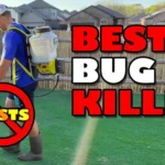 When to Apply Bug Killer to Lawn for Optimal Pest Control