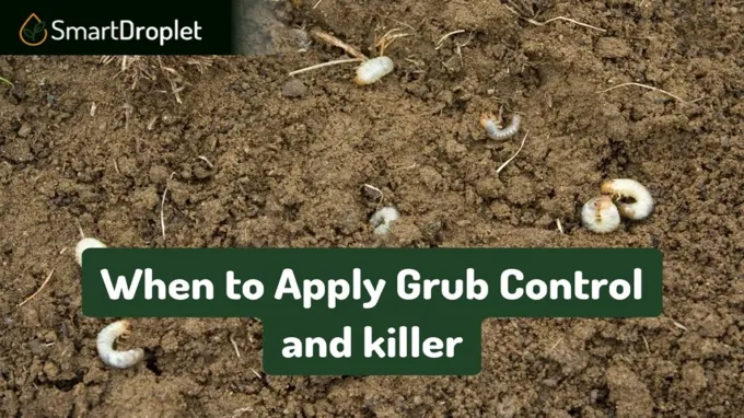 when to apply grub killer