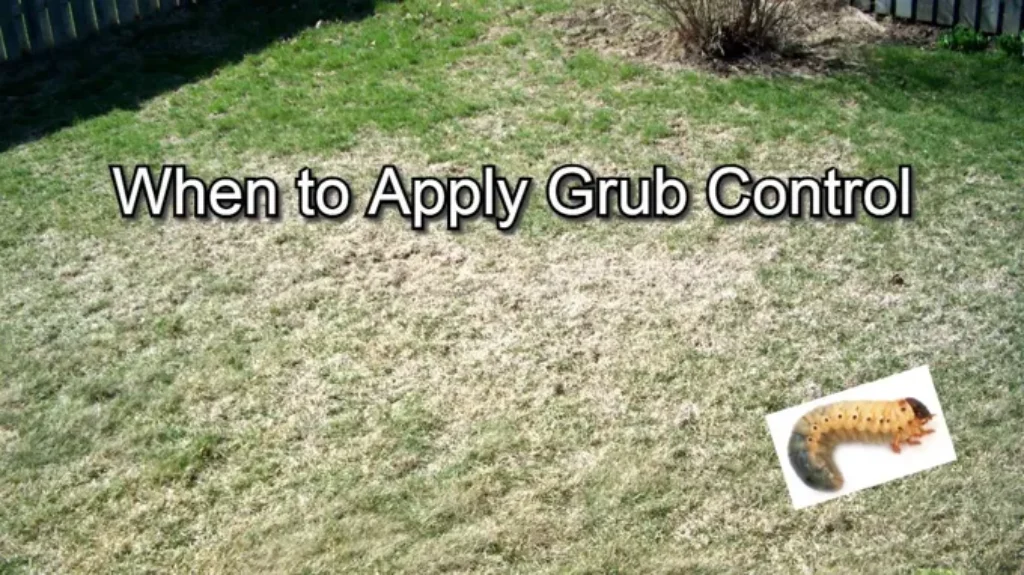 When to Apply Grub Killer: Best Timing and Methods for Effective Control