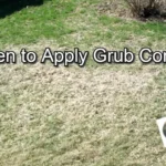 When to Apply Grub Killer: Best Timing and Methods for Effective Control