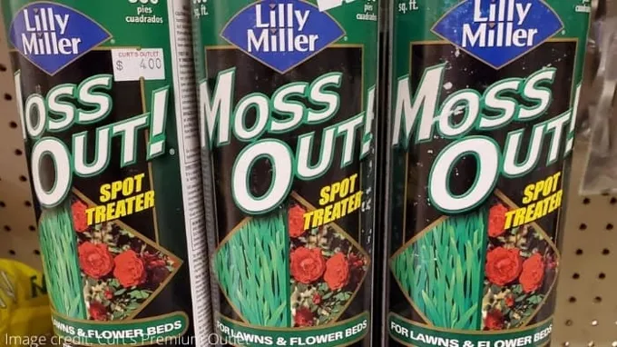 when to apply moss out