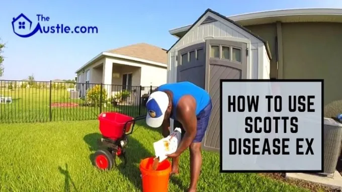 when to apply scotts disease ex