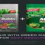 When to Apply Scotts Max Green: A Seasonal Guide for a Lush Lawn