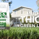 When to Apply Scotts Thick’R Lawn for a Lush and Healthy Yard