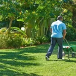 When to Apply Scotts Turf Builder Southern Lawn Food for a Lush Green Yard