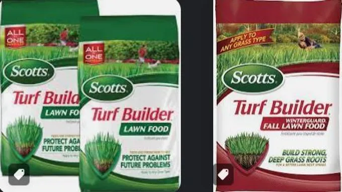 when to apply scotts turf builder with halts