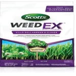 When to Apply Scotts Weedex for a Lush and Healthy Lawn