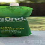 When to Apply Sunday Grass Powerhouse for a Healthy Lawn