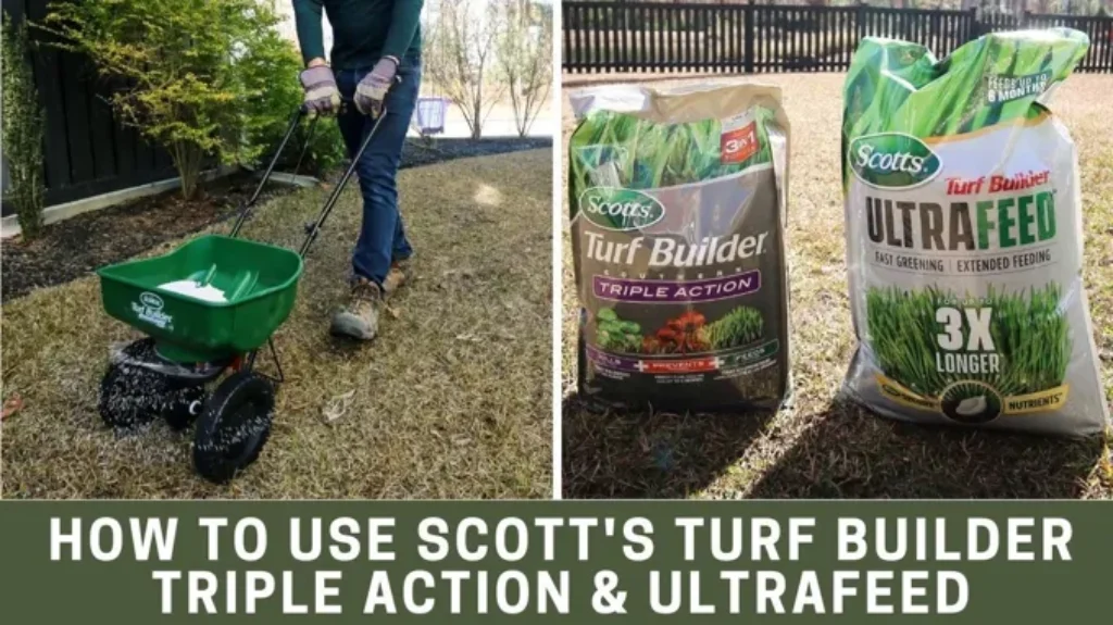 When to Apply Triple Action Turf Builder for a Luscious Lawn