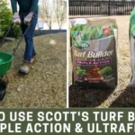 When to Apply Triple Action Turf Builder for a Luscious Lawn