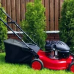 When to Change Lawn Mower Blades: Expert Tips for Blade Replacement