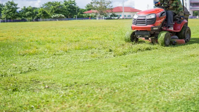 when to cut grass after seeding