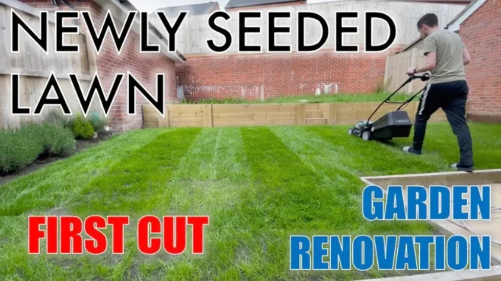 When to Cut Newly Seeded Grass: Tips for Timing Your First Mow