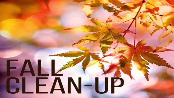 when to do fall clean up