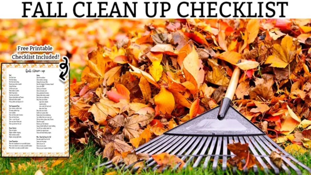 When to Do Fall Clean Up: Essential Tips for Your Yard