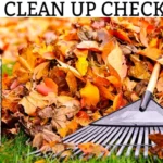 When to Do Fall Clean Up: Essential Tips for Your Yard