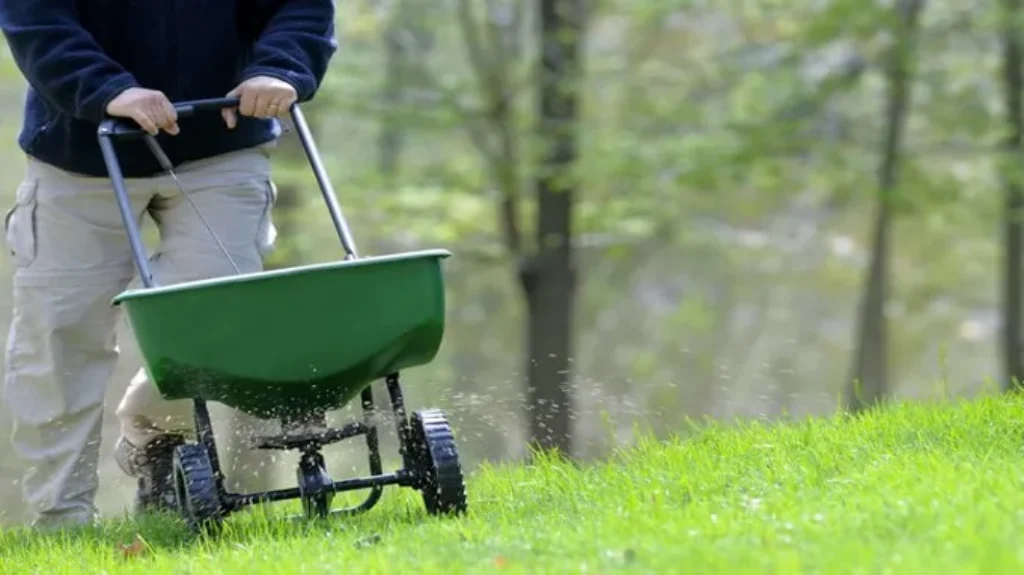 When to Fertilize After Planting Grass Seed: Best Timing Tips