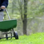 When to Fertilize After Planting Grass Seed: Best Timing Tips