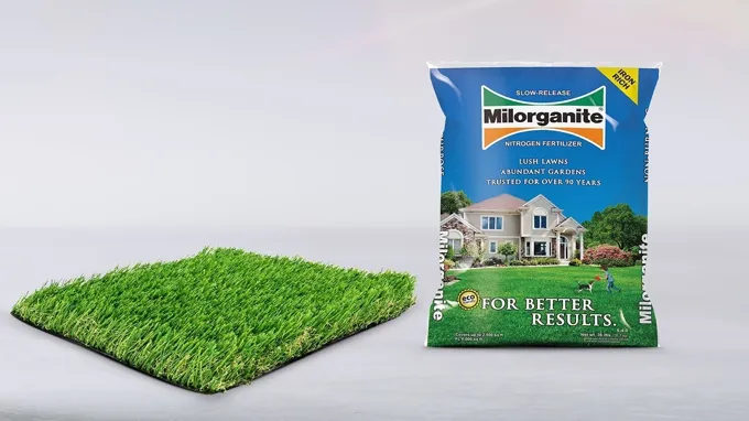 when to fertilize bermuda grass in north carolina