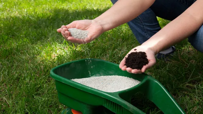 when to fertilize grass in texas