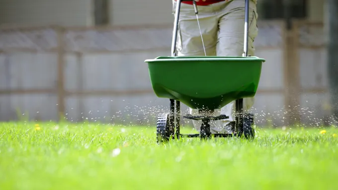 when to fertilize lawn in california