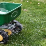 When to Fertilize Lawn in California: Best Timing and Tips for Healthy Growth