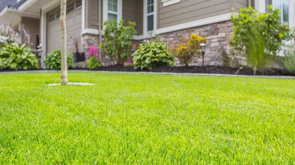 When to Fertilize Lawn in Kentucky for a Lush and Healthy Yard