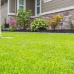 When to Fertilize Lawn in Kentucky for a Lush and Healthy Yard