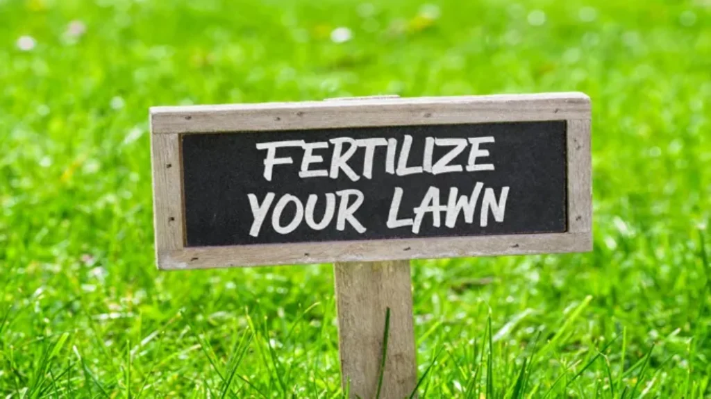 When to Fertilize Lawn in Massachusetts for a Lush and Healthy Yard