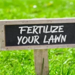 When to Fertilize Lawn in Massachusetts for a Lush and Healthy Yard