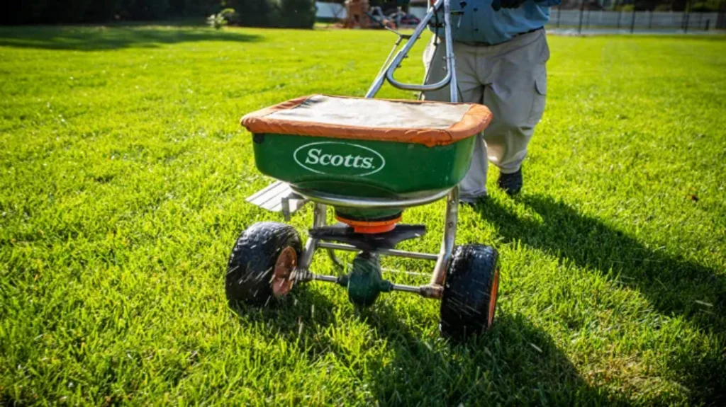 When to Fertilize Lawn in NC: Best Timing for a Healthy Yard