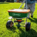 When to Fertilize Lawn in NC: Best Timing for a Healthy Yard