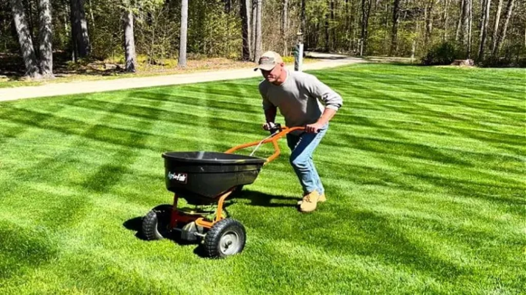 When to Fertilize Lawn in Ohio: Best Timing and Tips for Healthy Grass