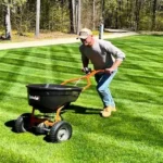 When to Fertilize Lawn in Ohio: Best Timing and Tips for Healthy Grass