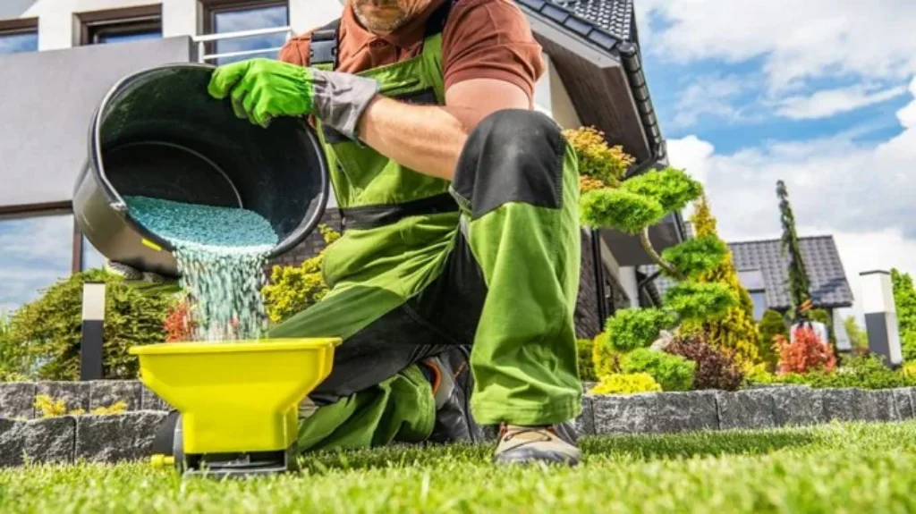 When to Fertilize Lawn in South Carolina: Best Timing Tips for a Healthy Yard