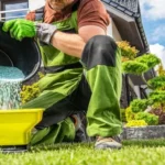 When to Fertilize Lawn in South Carolina: Best Timing Tips for a Healthy Yard