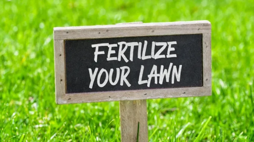 When to Fertilize Lawn in South Texas: Best Timing and Tips for a Lush Yard