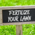 When to Fertilize Lawn in South Texas: Best Timing and Tips for a Lush Yard