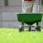 When to Fertilize Lawn in Southern California: Best Timing Tips