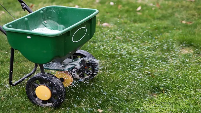 when to fertilize lawn massachusetts