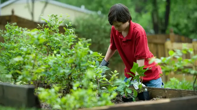 when to fertilize newly seeded lawn