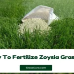 When to Fertilize Zoysia Grass in Texas: Best Timing and Tips for Healthy Growth