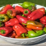 When to Harvest Cajun Belle Peppers for Optimal Flavor and Texture