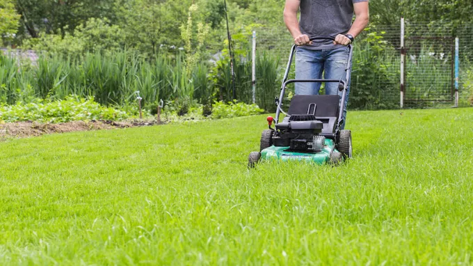 when to mow new grass from seed