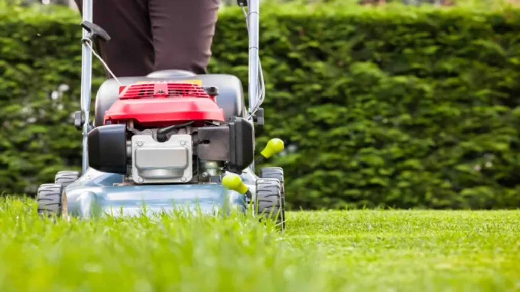 When to Mow New Grass from Seed: Best Practices for Lawn Care